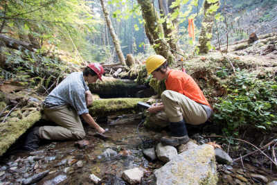 Soil and Stream field work 2017