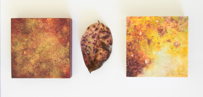 Fall Leaf Study by artist Ann Rosenthal