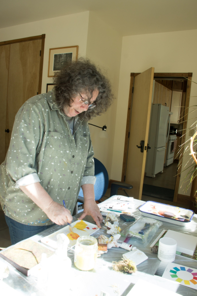 Artist Ann Rosenthal