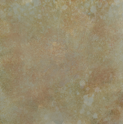 Lichen Study by artist Ann Rosenthal