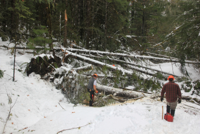 Snow and tree mortality event March 2019