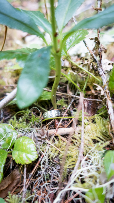 Forests of Oregon Elevation Gradient (FOREG) 2019