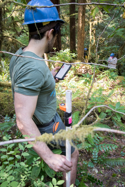 Forests of Oregon Elevation Gradient (FOREG) 2019