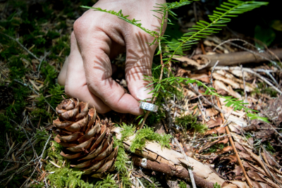 Forests of Oregon Elevation Gradient (FOREG) 2019