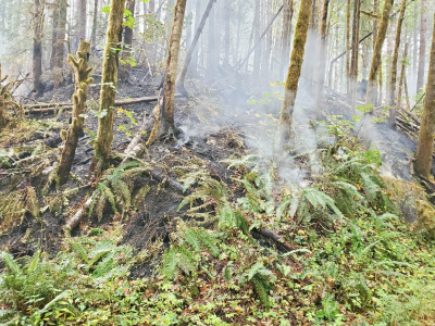 Holiday Farm Fire 2020