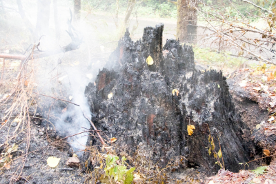 Holiday Farm Fire 2020
