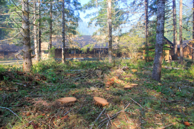 Holiday Farm Fire 2020