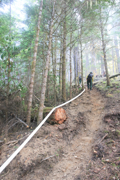 Watershed 2 Post Fire October 2020