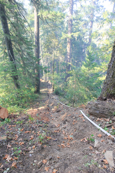 Watershed 2 Post Fire October 2020