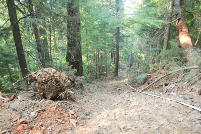Watershed 2 Post Fire October 2020