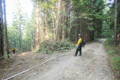Watershed 2 Post Fire October 2020