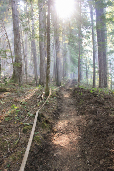 Watershed 2 Post Fire October 2020