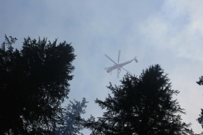 Watershed 2 Post Fire October 2020