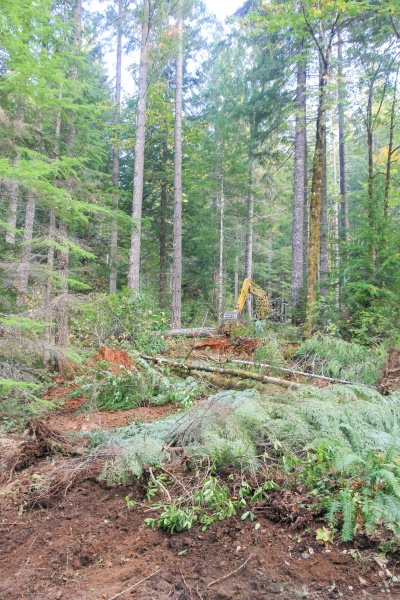 Watershed 2 Post Fire October 2020