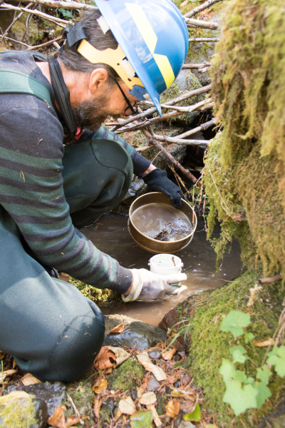 Samples from the Surber sample cup are collected in a sieve