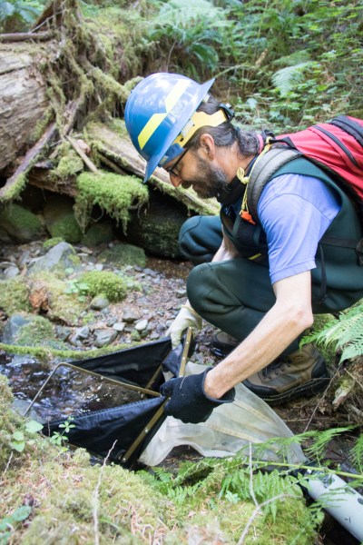 Researchers use a Surber sampler to collect aquatic invertebrates