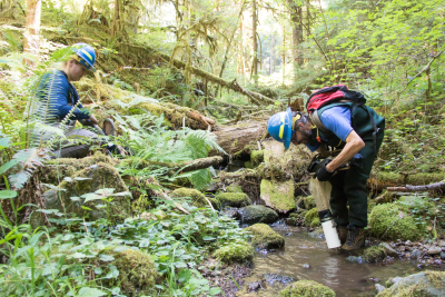 Researchers use a Surber sampler to collect aquatic invertebrates
