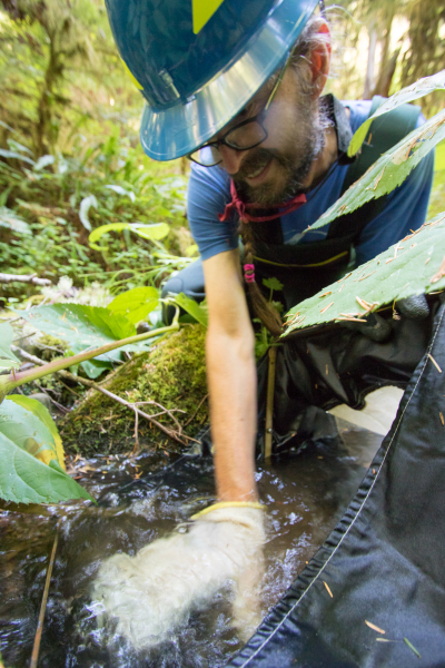 Bill Gerth uses his hand to gently disturb the stream bottom and dislodge stream invertebrates as the water flows into the Surber net