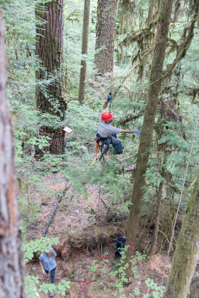 Canopy Ecology Field Work 2021