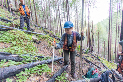 Post-fire vegetation survey WS1 2021