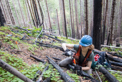 Post-fire vegetation survey WS1 2021