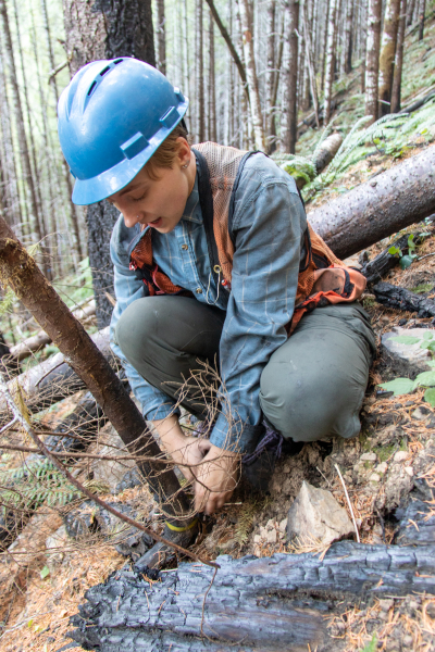 Post-fire vegetation survey WS1 2021
