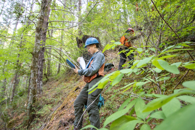 Post-fire vegetation survey WS1 2021