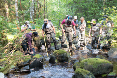 Mack Creek Vertebrates Study 2021