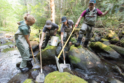 Mack Creek Vertebrates Study 2021