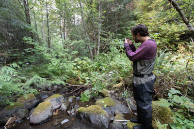 Mack Creek Vertebrates Study 2021