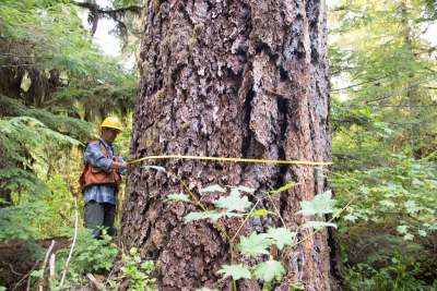 Pacific Northwest Permanent Sample Plot Program, Field work 2021