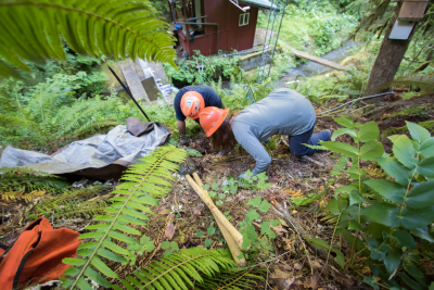 soil hydrology in Watershed 2