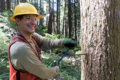 Tree growth and survival: the influence of disturbance and elevation
