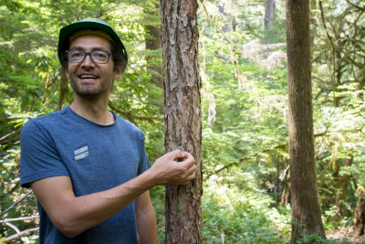 Tree growth and survival: the influence of disturbance and elevation
