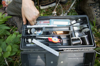 Bird population study and bird banding