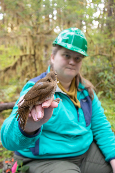 Bird Banding Spring 2023