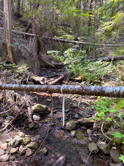 Drought Experiment 2023