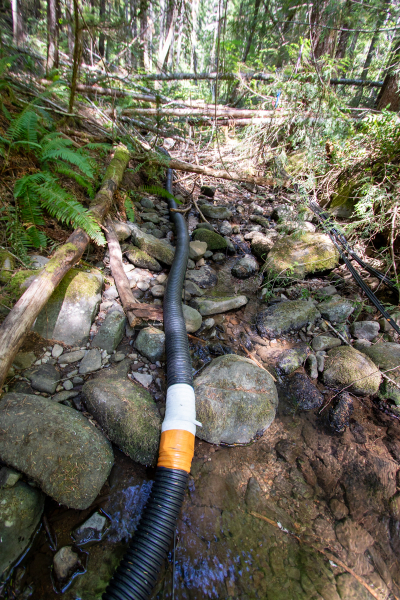 Drought Experiment 2023