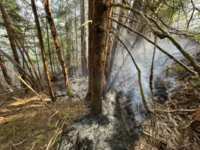 Lookout Fire 2023