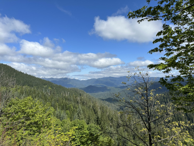 Lookout Valley from 1507 road