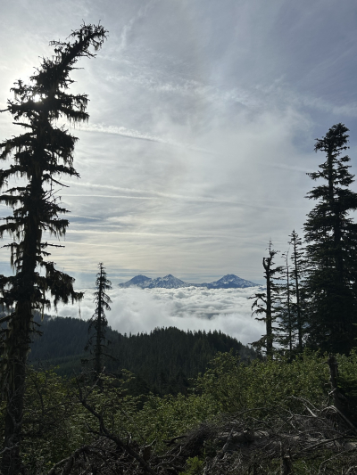 Three Sisters above the clouds