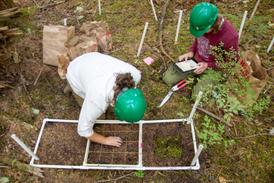 Moss Reciprocal Transplant 2023