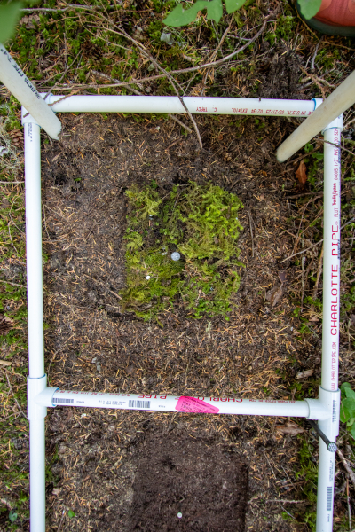 Moss Reciprocal Transplant 2023