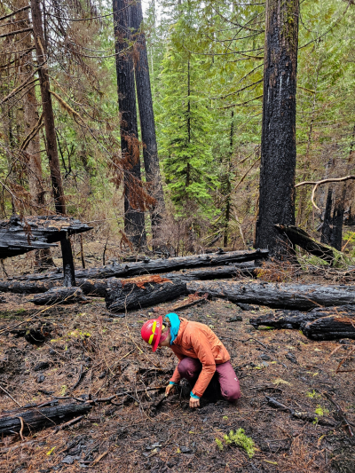 Pyrogenic Carbon Sampling Spring 2024