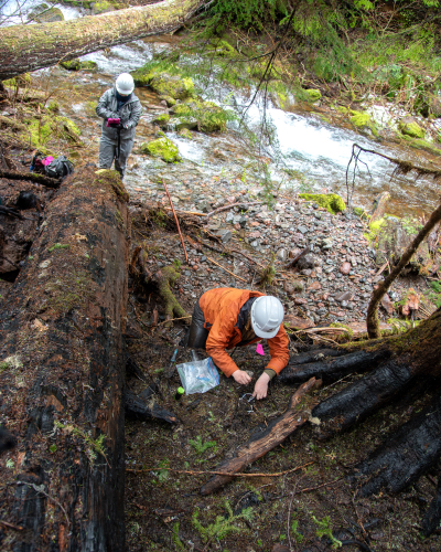 Stream Ecology Spring 2024