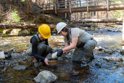 Stream Ecology Spring 2024
