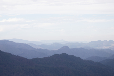 Andrews Landscape