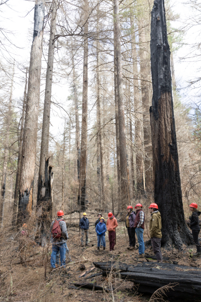 April 2024 field trip to HJA after Lookout Fire