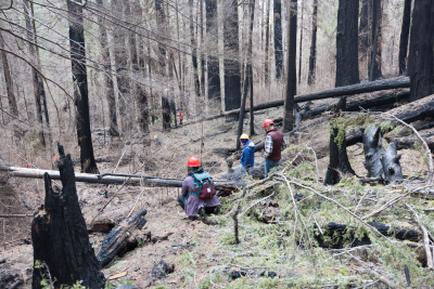April 2024 field trip to HJA after Lookout Fire