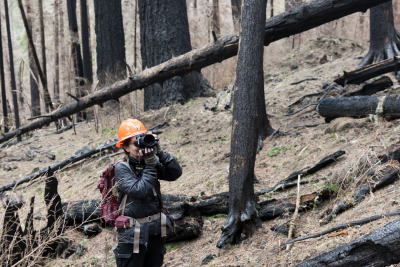 April 2024 field trip to HJA after Lookout Fire